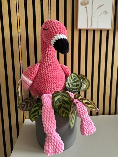 098 Flamingo Rico