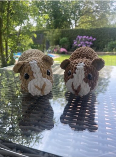 073 Meerschweinchen Betty