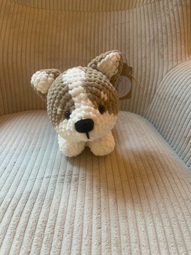 085 Hund Corgi