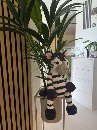 081 Zebra Zola